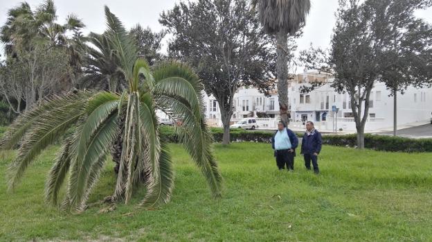 El PSOE denuncia el «absoluto abandono» de los parques de Roquetas de Mar