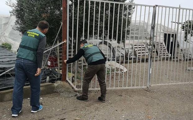 Detenido el presunto autor de un intento de robo en un invernadero que fue sorprendido por su dueño