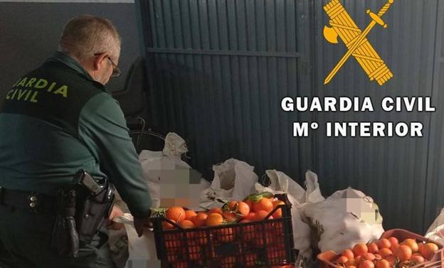 Dos investigados por portar 500 kilogramos de mandarinas sustraídas