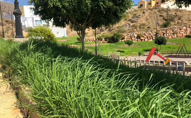 Iniciado el proceso de selección de los 30 jardineros de refuerzo de este año