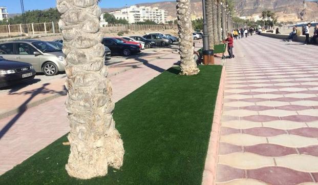 Malestar en Aguadulce por el uso de césped artificial en las jardineras del paseo marítimo