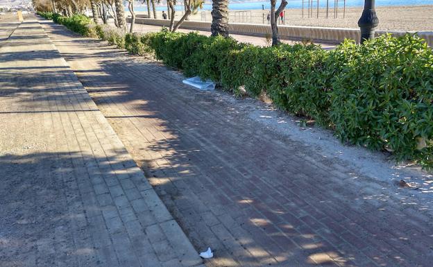 IU denuncia que el paseo marítimo de Las Salinas lleva tres meses sin limpiarse