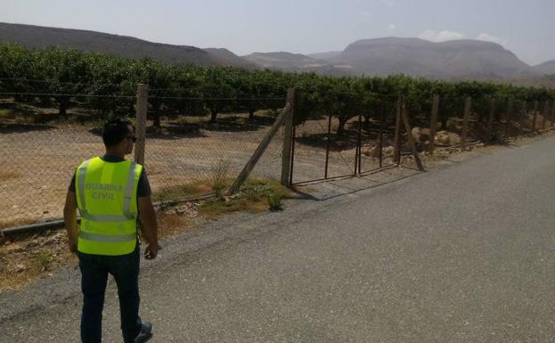 Arrestado tras robar un motor de riego y una bomba de sulfato