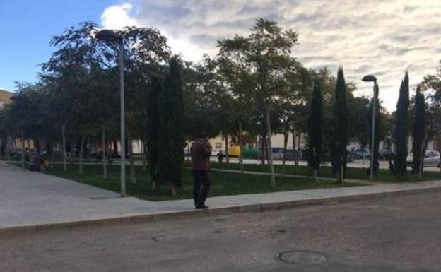 El anterior equipo de Gobierno de La Mojonera irá a juicio en junio por hacer un parque ilegalmente