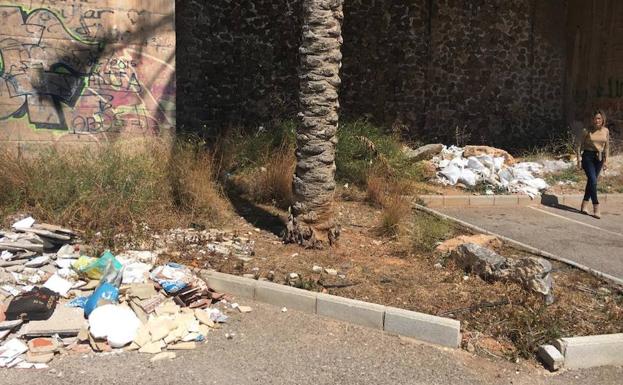 Cs denuncia que los vertederos incontrolados siguen creciendo en Roquetas