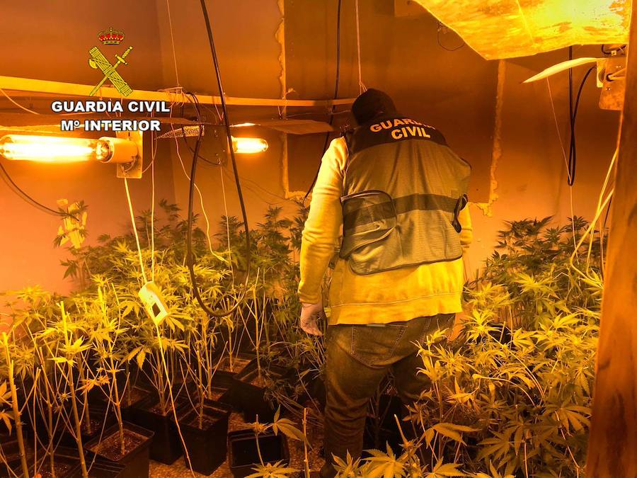 Una disputa entre varias personas destapa en Roquetas dos plantaciones de marihuana