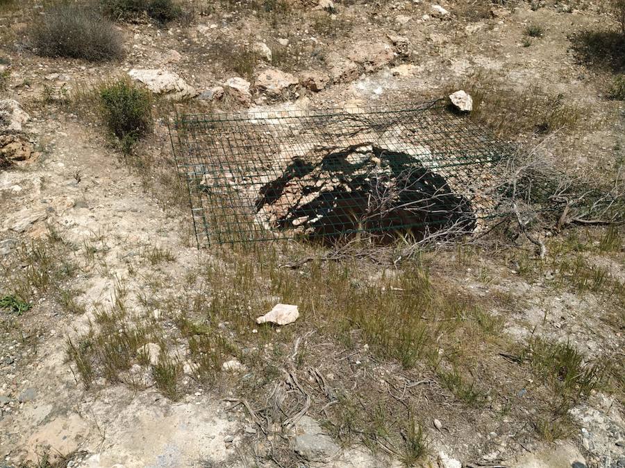 Denuncian ante la Guardia Civil la existencia de un pozo abierto y sin señalizar al norte de Aguadulce