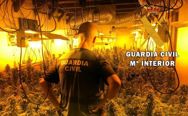 Cultivaba casi 400 plantas de marihuana a menos de 50 metros de un parque infantil de Felix