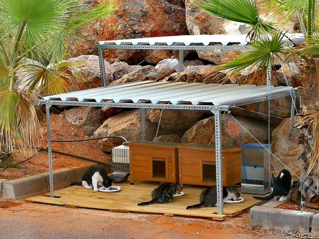A cuerpo de gato en el Puerto de Aguadulce