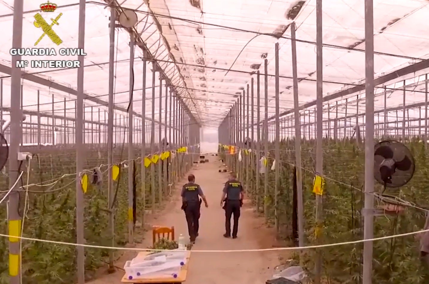 Desmantelado en Roquetas un narco bloque dedicado a la plantación de marihuana