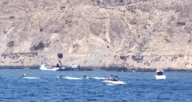 Motos acuáticas y barcos de recreo acosan a los delfines cerca de Aguadulce