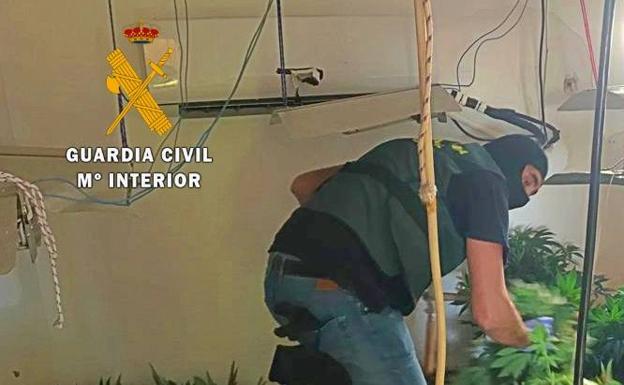 El aviso de unos operarios permitió localizar una plantación de marihuana en El Parador