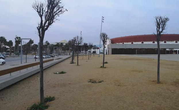 El PSOE denuncia que las deficiencias del parque de Los Bajos siguen sin afrontarse tres años después de su terminación