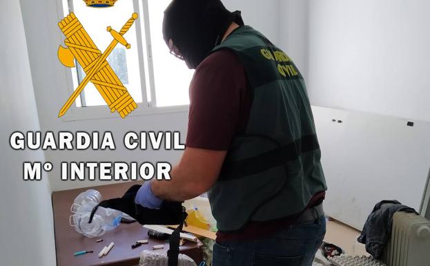 Un detenido en Roquetas por cultivar 737 plantas de marihuana en cinco pisos