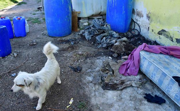 Vecinos de Las Cimillas de Vícar sospecharon días antes del hallazgo del feto semienterrado