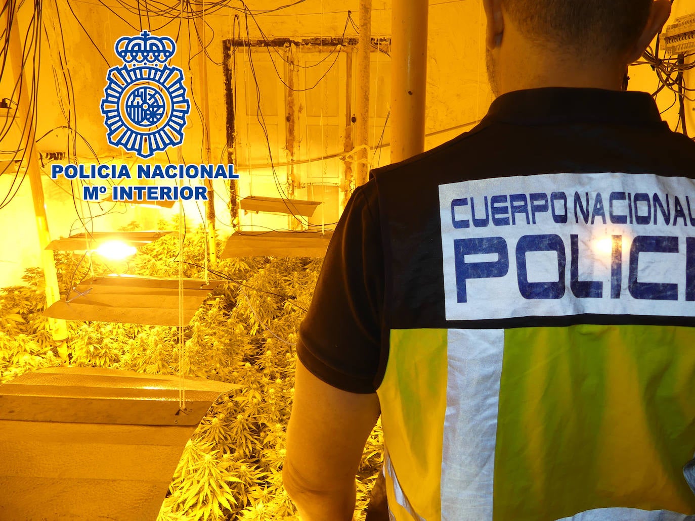 Desarticulada una organización criminal asentada en Vícar, dedicada al tráfico de drogas