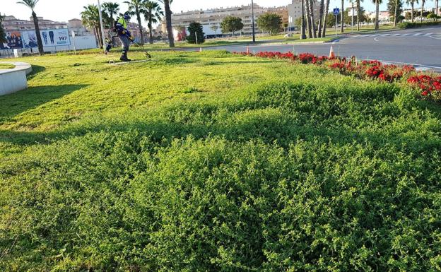 Roquetas restablece los servicios de mantenimiento con la reincorporación de su personal