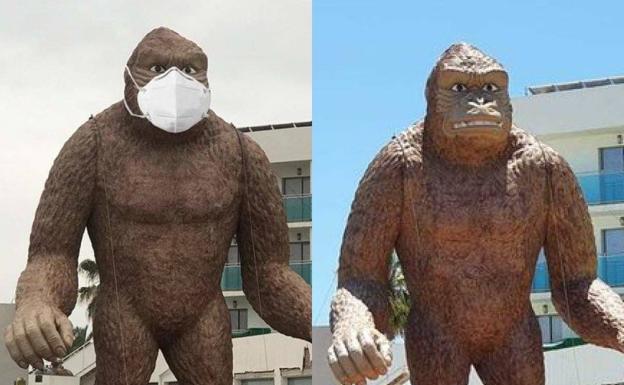 No, al gorila de la Urbanización de Roquetas no le han puesto una mascarilla