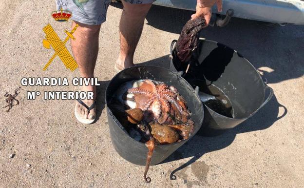 La Guardia Civil interviene 30 kilos de pulpo a dos buceadores en Roquetas de Mar