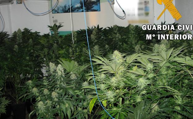 La Guardia Civil detiene a cinco personas como autores de un delito contra la salud pública en Vícar