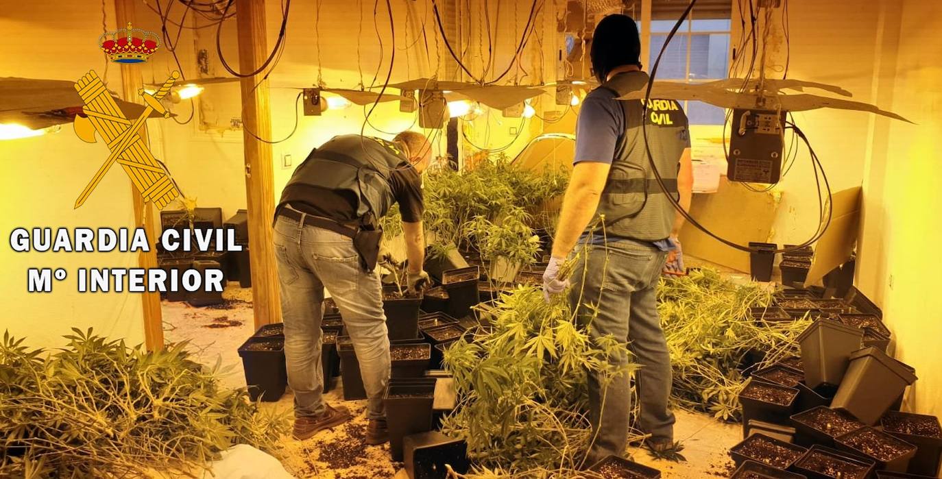 Detenido por un cultivo indoor de marihuana en Roquetas de Mar