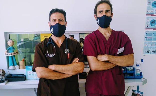 Veterinarios de El Parador estudian la incidencia de la Covid en las mascotas