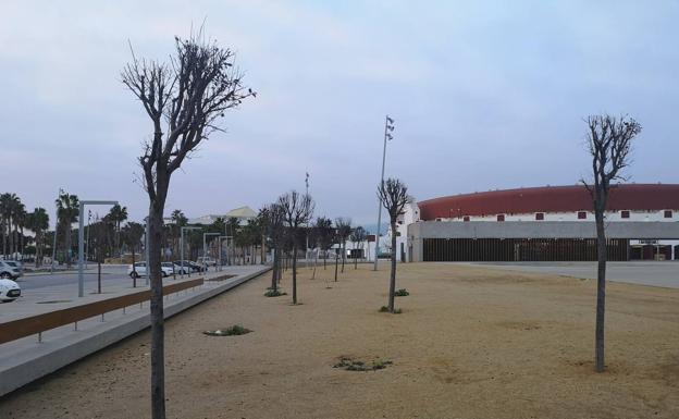 El transporte urbano y el mantenimiento de parques y jardines de Roquetas se quedan sin partida presupuestaria