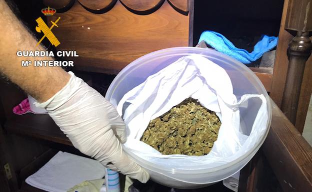 Les cazan con 700 plantas en la casa en la que vivían con sus cuatro hijos menores de edad