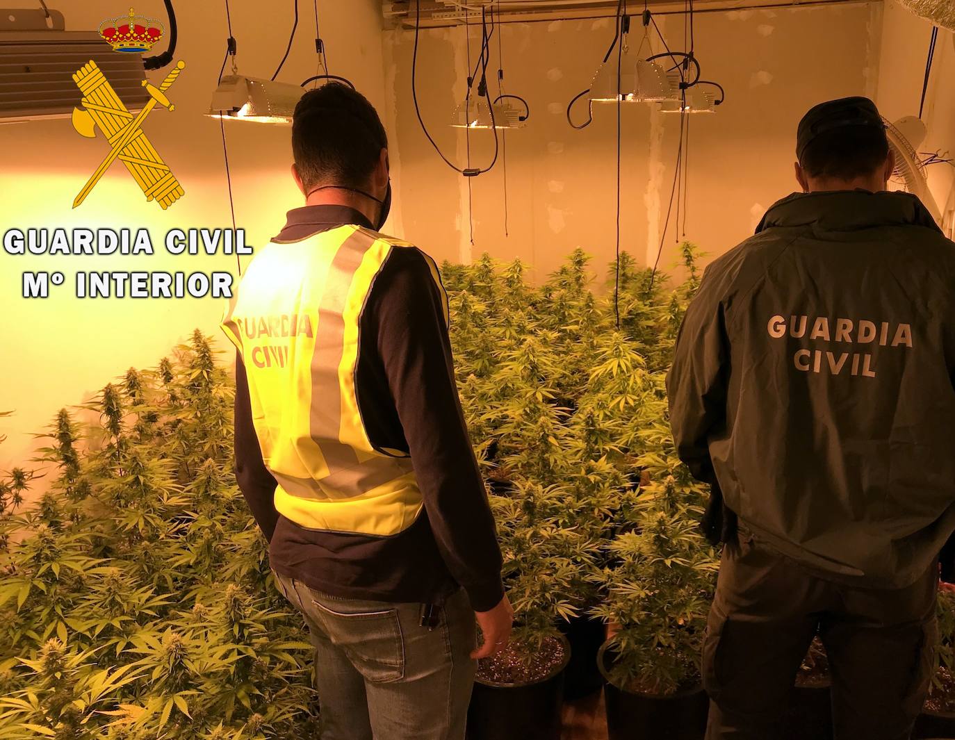 Desmantelado un cultivo indoor de marihuana en Aguadulce