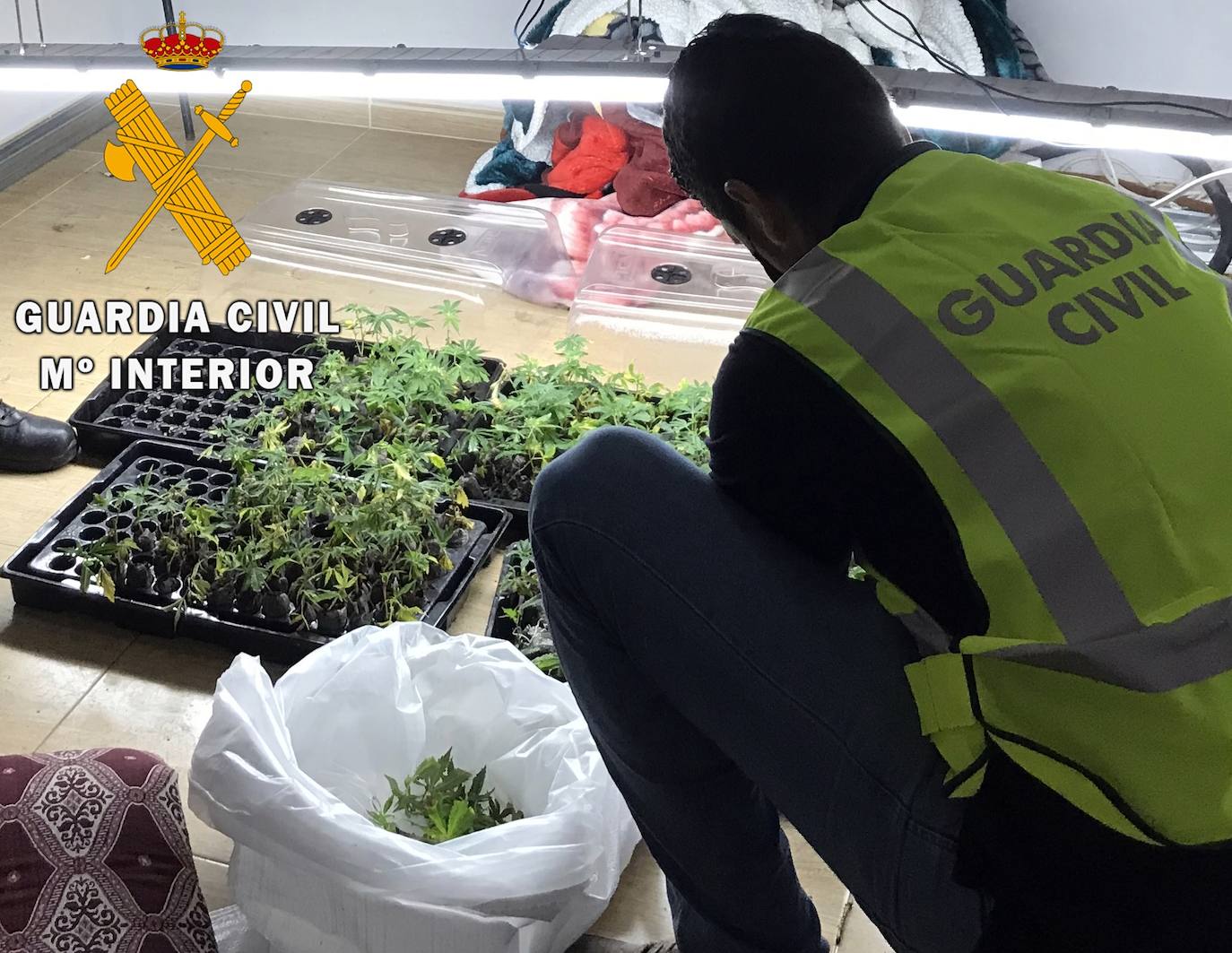 Acuden a un desalojo en Roquetas y hallan un punto de venta de droga y una plantación indoor de marihuana