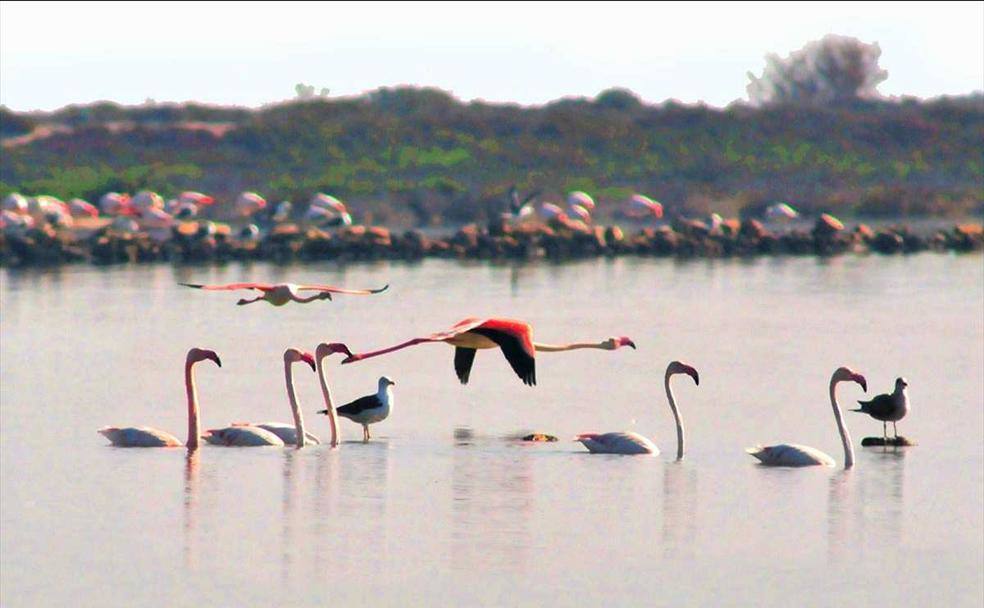Un Centro de Interpretación pondrá en valor los recursos naturales y turísticos de Punta Entinas