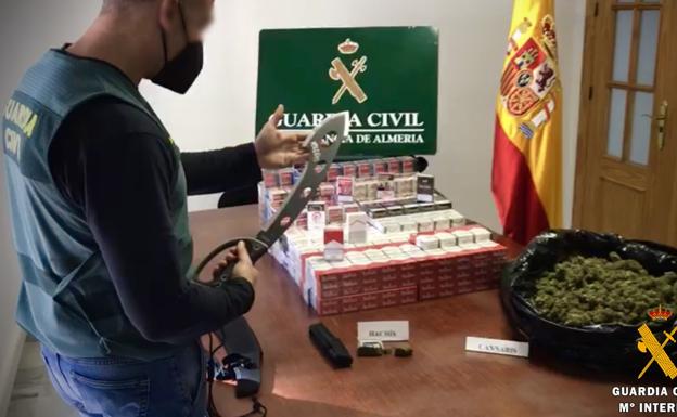 Desmantelado un activo punto de venta de marihuana con 220 plantas en Roquetas y detenido su presunto responsable