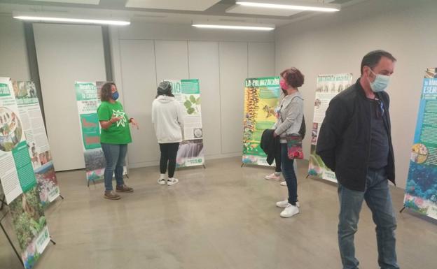 Llega al Aula del Mar de Roquetas una muestra sobre la importancia de la biodiversidad