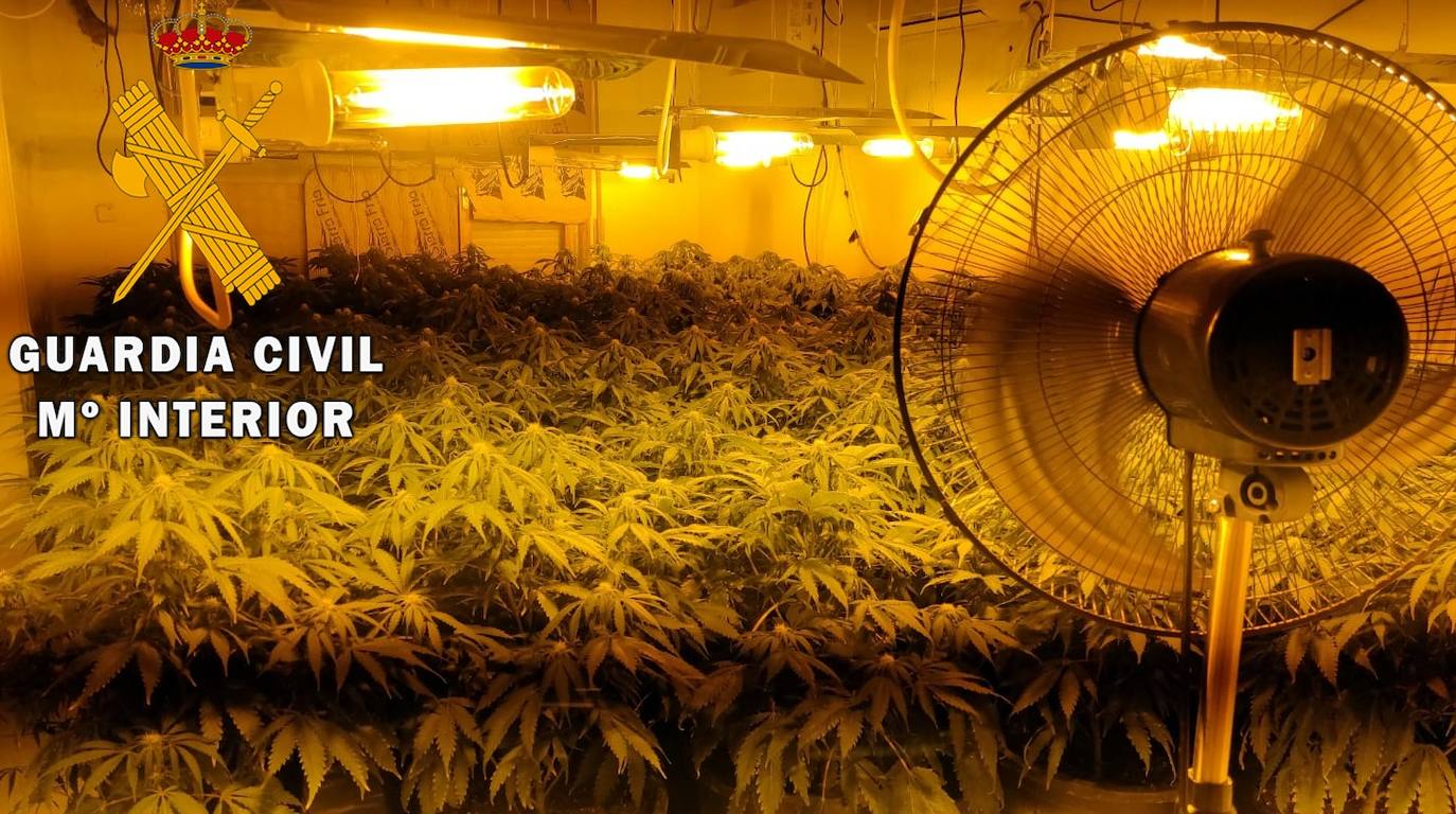 Se entrega a la Guardia Civil de Roquetas de Mar ante la sospecha de que iba a ser detenido por cultivar marihuna en una vivienda