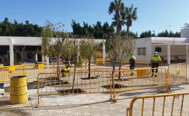 Media docena de proyectos dieron empleo a 21 personas en Vícar con el plan Coopera