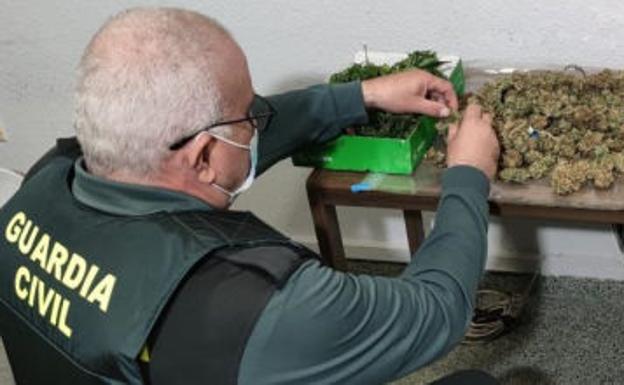 Dos detenidos en Vícar por cultivar marihuana en el interior de su vivienda