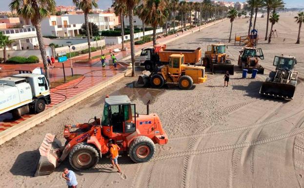 La expansión del alga invasora obliga a reforzar el transporte del lijo de las playas
