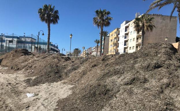 El PP admite «complicaciones» en la limpieza de las playas, donde se acumula el lijo