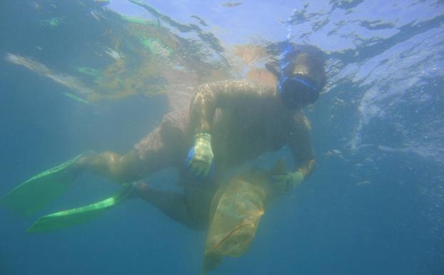Clubes de buceo, Ayuntamiento e Hidralia se unen para limpiar los fondos marinos de Aguadulce