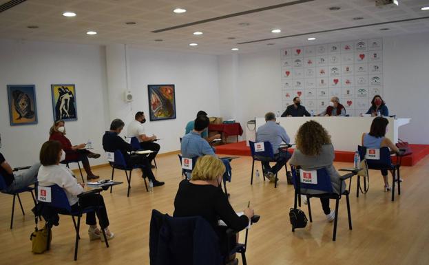 El Pleno de Vícar defiende la creación de una línea de autobuses con Roquetas