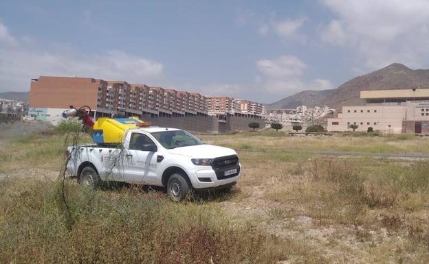 Crece la preocupación por los mosquitos a las puertas de la temporada turística