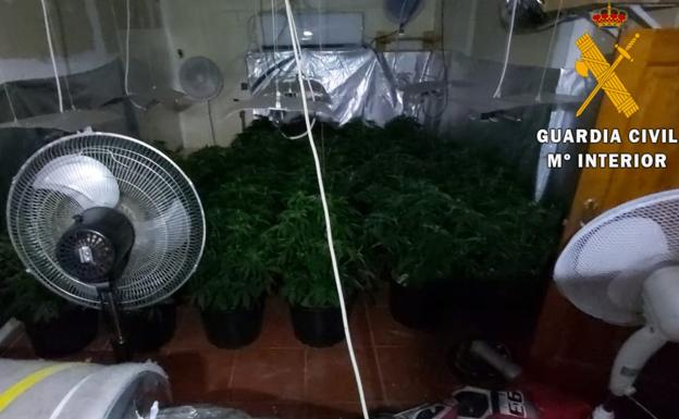 Un detenido en Roquetas de Mar por cultivar marihuana en el sótano de su vivienda