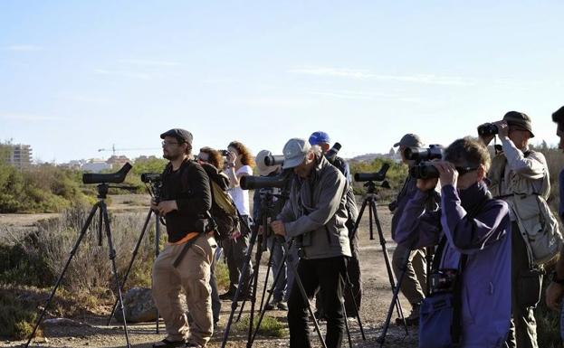 Roquetas inicia acciones para impulsar el turismo de observación de aves