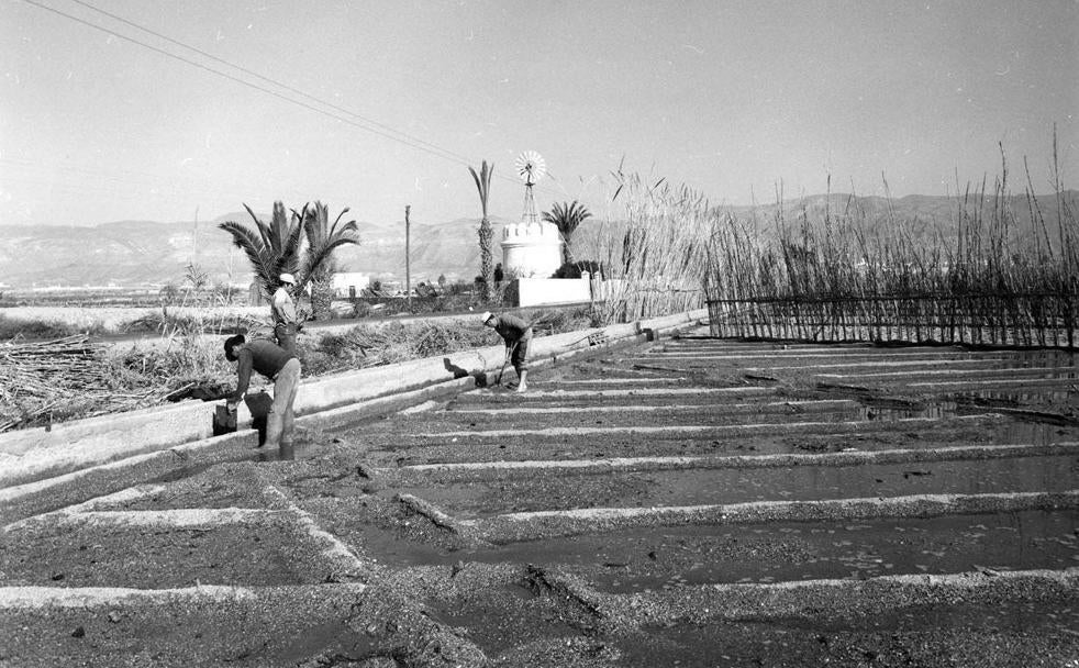 Carretera de Alicún, 1968