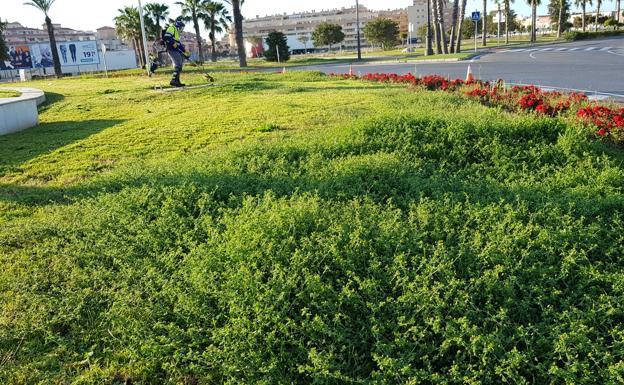 Cambio en los requisitos de la bolsa de jardineros y ampliación del plazo de solicitudes