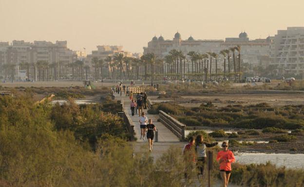 Visita guiada por la Ribera de la Algaida con motivo del Día de los Humedales