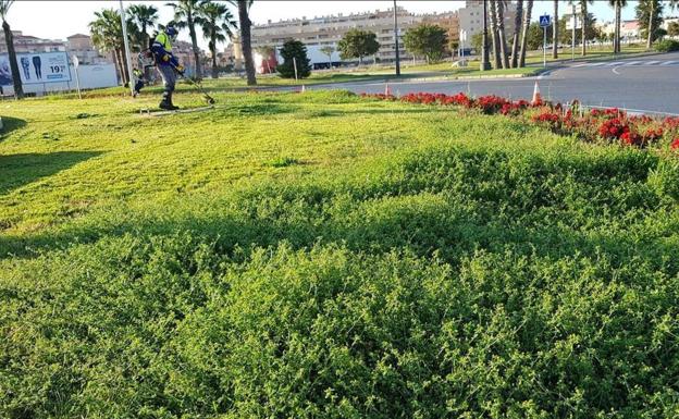 Críticas de la oposición en el Pleno por el proceso de contratación de la jardinería