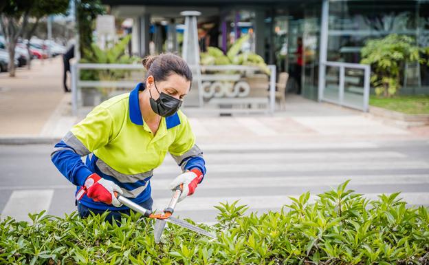 Los recursos vuelven a parar el contrato de jardines y anulan el de ayuda a domicilio en Roqueas