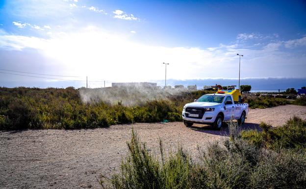 El PSOE exige a Amat «medidas excepcionales» ante el «grave problema» de mosquitos en Roquetas