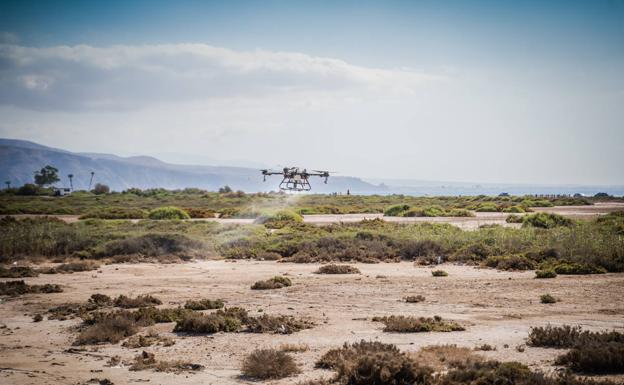 Roquetas usa la última tecnología en drones y sistemas informáticos para el control de mosquitos